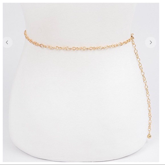 Fabulous  CG Iron Chain Belt - Picture 3 of 7